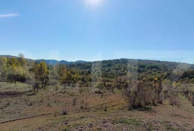 Teren extravilan cu priveli?te superba , livada ?i poten? - 2