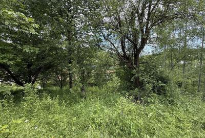 Teren Construcții intravilan de 1859 mp, în Provița de Sus - 3