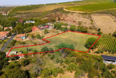 Teren de 4184 mp, în Miniș - 1