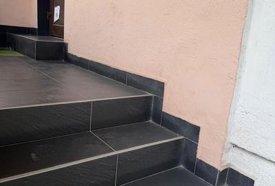 Spațiu comercial, de 51 mp, în Brazda lui Novac