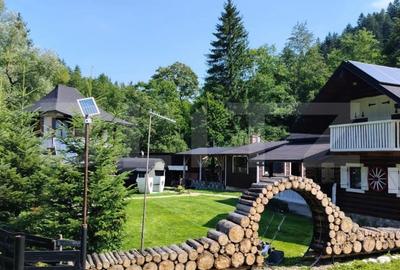 Cabana/Casa de vacanta in Molid, SV, 136 mp, teren cu 3300 mp, Iaz cu pesti - 13