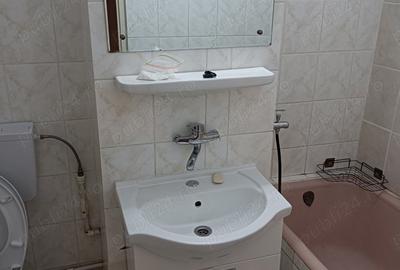 Inchiriez ap 1 cam Buzaului - 2