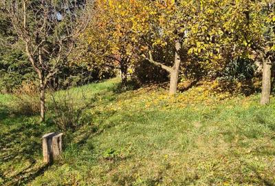 Casă cu 3 camere în Dobolii de Jos - 7