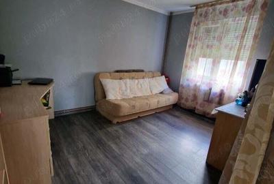 Casă cu 5 camere în Sânmihaiu Român - 2