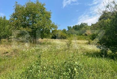 Casa cu 3 camere pe Str. Negoiului, teren 2.560 mp, vedere panoramica - 6