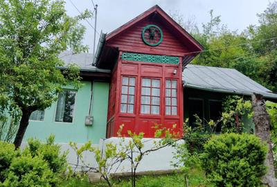 Casă de vacanță superbă în Provita de Jos, zona Câmpina –Prahova Telega - 1