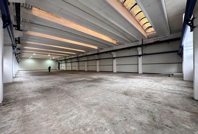 Spațiu industrial, în Tătărași - 17