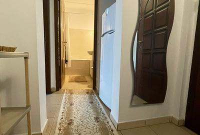 Apartament cu 2 camere decomandat, mobilat în Podu Roș - 8