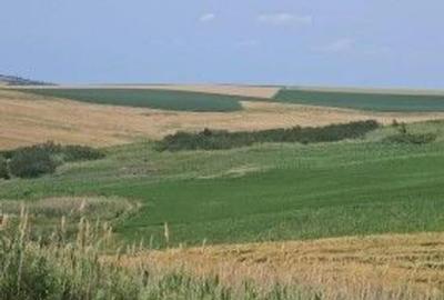 Teren Extravilan Aroneanu, ID: R2577828 - 2