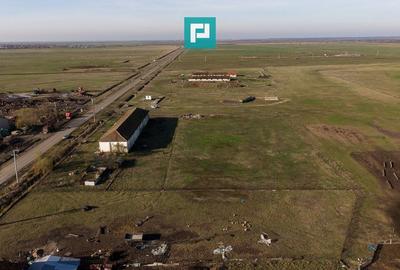 Hală industrială cu teren generos în Zărand, Arad - 32