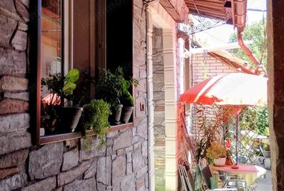 CI581 Timocului-Saguna,2 camere,centrala - 6