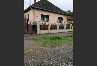 Casă cu 3 camere de vânzare, 150 mp, Apa - 4