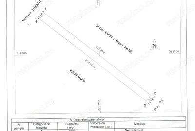 Teren Extravilan In Rate Primaverii Com. Berceni | 5000mp | #EG56E - 2