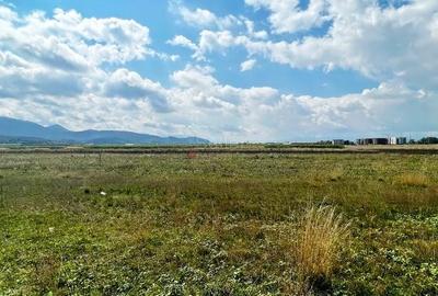 Teren Construcții intravilan de 18134 mp, în Ghimbav Livadă - 5