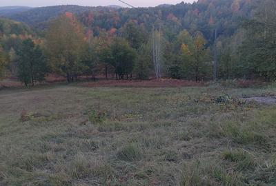 Spațiu comercial, în Ineu