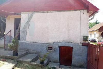 Casă cu Teren 1439 Mp în Anina - 12