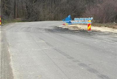 Teren intravilan de 16500 mp, în Buriaș - 2