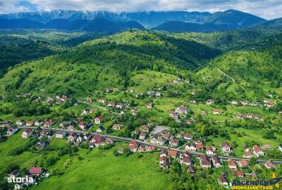 Spațiu comercial, în Drumul Carului - 4