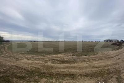 Teren de 15000 mp, în Central