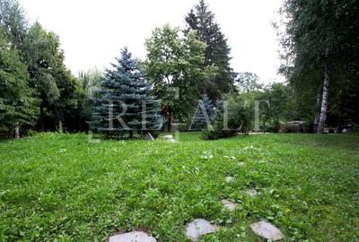 Vanzare casa, vila 10 camere | 3.265mp teren, Finisare Premium | Breaza, Prahova - 17