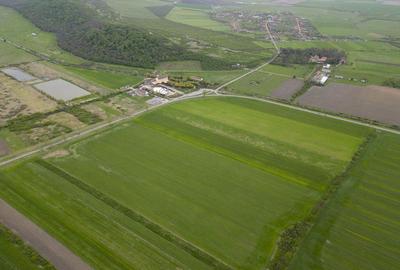 Teren extravilan de 22500mp Zona Ineu - 6