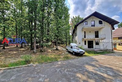 Casă de vacanță în pădure, 10 km de Pitești - Babana - 1