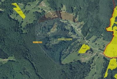 Teren 5500 mp, Valea Sasului, sat Dalghiu, com Vama Buzaului - 3