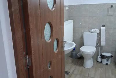 Casa de vanzare 3 camere Slobozia - 10