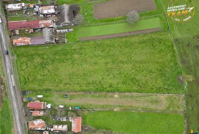 Teren de 8000 mp, în Central - 9