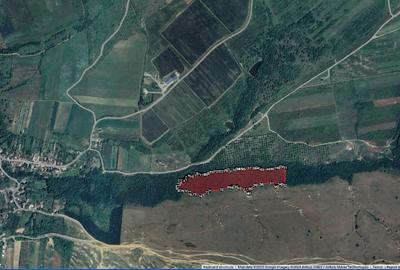 Teren extravilan 4 Ha (40 600 mp) - GHINDA, Bistrita, jud. BN - 3