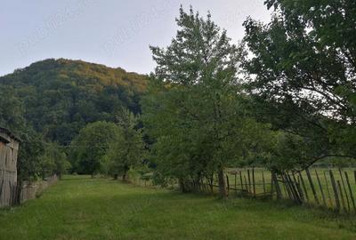 Vand casa ?i teren 2500 mp la munte in Valea Uzului. - 6