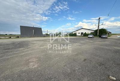 Spa?iu comercial de INCHIRIAT 837 mp utili + 4.116 mp teren, Vin?u de Jos - 9