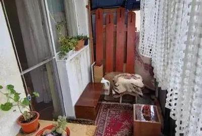 Dambu Pietros - Vanzare apartament 3 camere - Str. Godeanu - 5