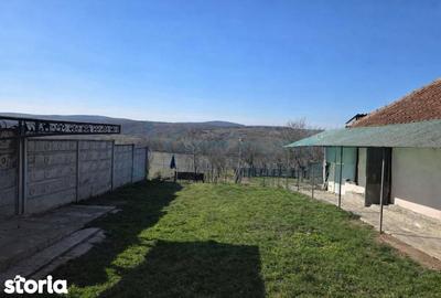 Casă cu 5 camere cu Teren 3316 Mp în Oșorhei - 7