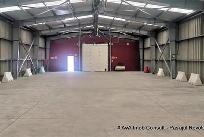 Spațiu industrial, de 223 mp, în Izvoare