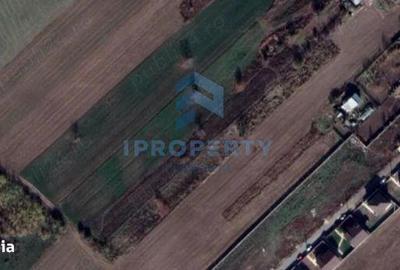 Teren de 1588 mp, în Cernica - 1