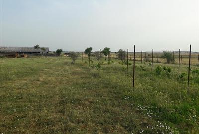 Teren de 11400 mp, în Nord