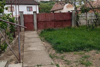 Casă cu Teren 2453 Mp în Roșia de Secaș - 3