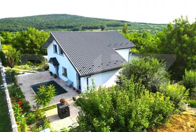 Casă cu 5 camere cu Teren 1000 Mp în Bucium - 17