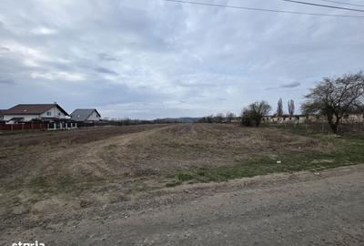 Spațiu comercial, în Sângeorgiu de Mureș - 4