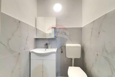 OPORTUNITATE - o proprietate unica prin amplasare si versatilitate - 7