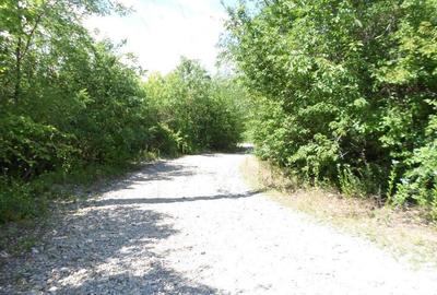 Teren intravilan in Boldesti Scaeni, Prahova, 7410 mp - 2