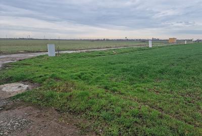 Teren Construcții intravilan de 1000 mp, în Exterior Est - 2