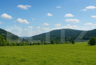 Teren intravilan de vanzare, 5872 mp, pe strada Chilia-Vatra - 1