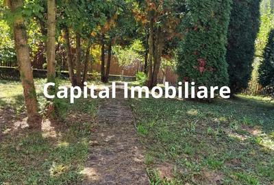 Vila spa?ioasa 5 dormitoare, Provita de Jos - 3