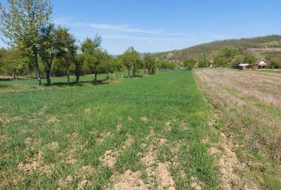 Spațiu comercial, în Vladimir - 5