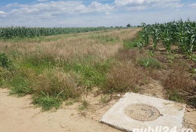 Teren de 5000 mp, în Malu Mare - 7