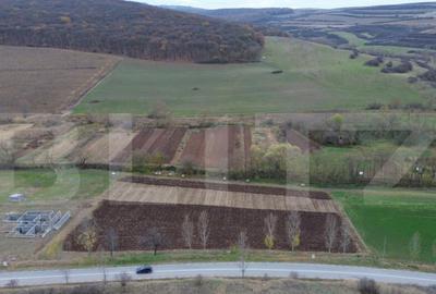 Teren intravilan cu proiect de casa 2600, zona Hapria - 31