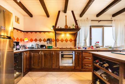 Refugiul Perfect de Lângă Timișoara - 21