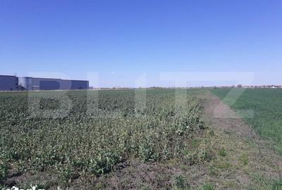 Teren de 30000 mp, în Sânandrei - 1